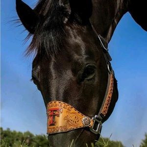 Meet your Posher, Terry